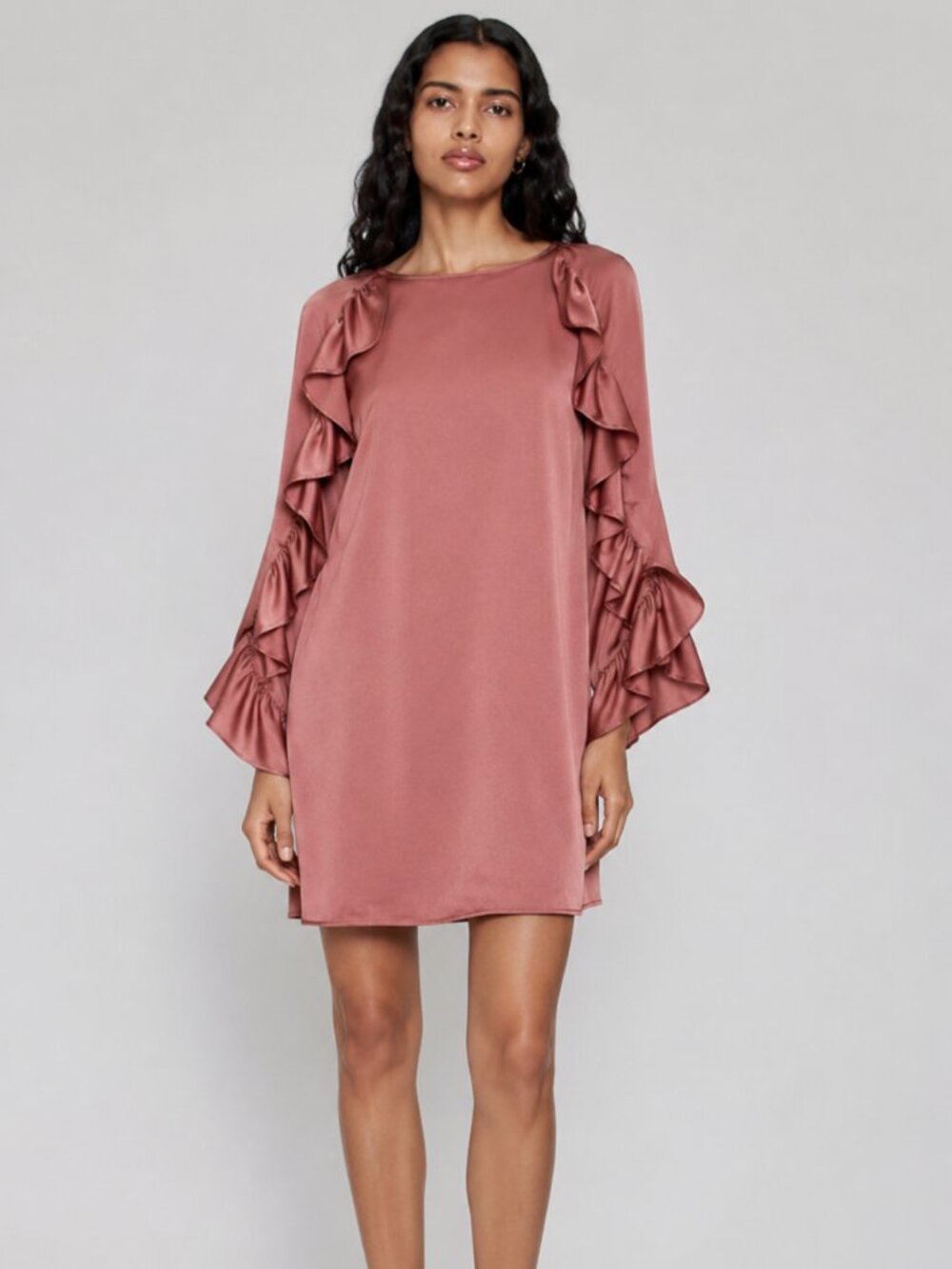Zara Ruffle Sleeve Dress